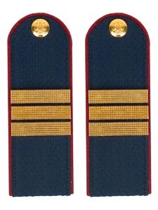 Погоны ФСИН на Китель звание Сержант картон темно-синие 14х5 см
