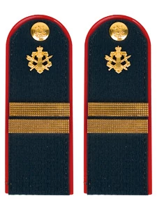 Погоны ФСИН звание Младший сержант ПЛАСТИК цвет темно-синий 14х5 см