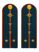 Погоны МЧС на куртку картон (в сборе) укомплектованные с фурнитурой звание Капитан 14х5 см