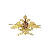 Орел на тулью фуражки ВКС