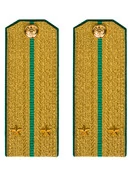 Погоны Пограничной службы ПС ФСБ в сборе картон Лейтенант золотые