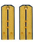 Погоны парадные ФСБ золотые картон звание Капитан