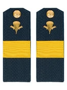 Погоны ВДВ с фурнитурой синие с желтым галуном Ст. Сержант Пластиковые