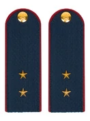 Погоны ФСИН на Китель звание Прапорщик картон темно-синие 14х5 см