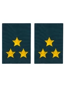 Фальш погоны МЧС с вышивкой 8х6см звание Полковник