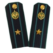 Погоны Пограничной службы ПС ФСБ в сборе картон на куртку звание Майор 14х5,5см