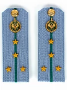 Погоны Пограничной службы ПС ФСБ в сборе картон на рубашку звание Капитан 14х5см