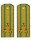 Погоны Пограничной службы ПС ФСБ службы в сборе картон Полковник золотые