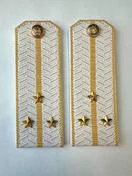 Погоны Таможенной службы белые картон звание Старший Лейтенант