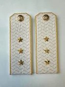 Погоны Таможенной службы белые картон звание Старший Прапорщик