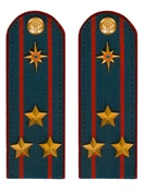 Погоны МЧС на куртку 14х5см картон (в сборе) укомплектованные с фурнитурой звание Полковник