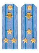 Погоны МО ВДВ голубые на рубашку Полковник в сборе Картон