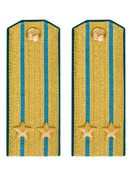 Погоны ВДВ, ВКС, ВВС парадные золотые с фурнитурой на Китель звание Подполковник Картон