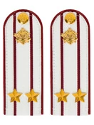 Погоны ФСИН на рубашку ПЛАСТИК цвет Белый звание Подполковник 14х5 см