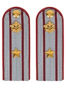 Погоны ФСИН на рубашку ПЛАСТИК, звание Майор цвет серый 14х5 см