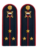 Погоны МВД внутренняя служба на куртку темно-синие ПЛАСТИК звание Старший лейтенант