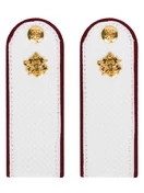 Погоны ФСИН на рубашку Рядовой Картон цвет белый 14х5 см