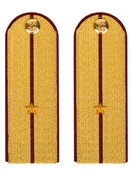 Погоны ФСИН парадные Младший Лейтенант картон цвет золотой