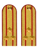 Погоны МВД парадные звание Полковник цвет золотой