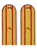 Погоны МВД парадные звание Майор цвет золотой