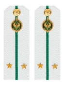 Погоны Пограничной службы ПС ФСБ КАРТОН белые звание Лейтенант 14х5см