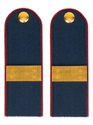 Погоны Полиции на Китель синие КАРТОН Звание Ст. Сержант Пришивные