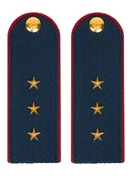 Погоны Полиции на Китель синие КАРТОН Звание Ст. Прапорщик Пришивные