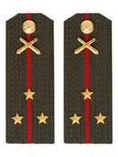 Погоны МО РВиА зеленые звание Старший Лейтенант ПЛАСТИК