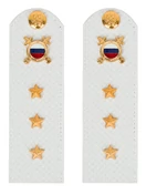 Погоны МВД внутренняя служба на рубашку белые ПЛАСТИК Звание Старший Прапорщик