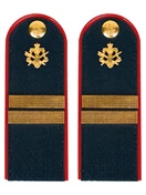 Погоны ФСИН звание Младший сержант ПЛАСТИК цвет темно-синий 14х5 см
