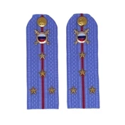 Погоны МВД внутренняя служба на рубашку голубые ПЛАСТИК Звание Капитан