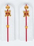 Погоны Полиции на рубашку белые 13 см звание младший лейтенант Картон