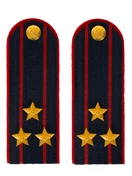 Погоны Полиция в сборе на китель темно-синие Полковник картон 13см Пришивные