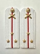 Погоны МО РВиА белые звание Старший Лейтенант Картон