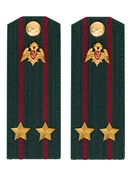 Погоны Росгвардии ФСВНГ на куртку 14х5 см Картон звание Подполковник