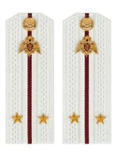 Погоны Росгвардии ФСВНГ на рубашку белые 14х5 см ПЛАСТИК звание Лейтенант