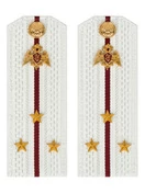 Погоны Росгвардии ФСВНГ на рубашку белые 14х5 см ПЛАСТИК звание Старший Лейтенант