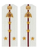 Погоны Росгвардии ФСВНГ на рубашку белые 14х5 см ПЛАСТИК звание Капитан