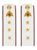 Погоны Росгвардии ФСВНГ на рубашку белые 14х5 см КАРТОН звание Старший Прапорщик