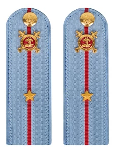 Погоны Полиции картон голубые Младший лейтенант 12 см