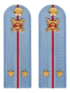 Погоны Полиции картон голубые Лейтенант 12см