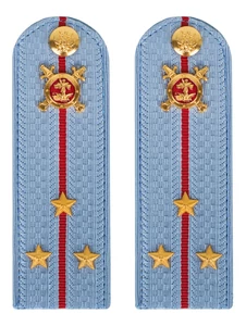 Погоны Полиции картон голубые Старший Лейтенант 12см