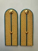 Погоны ФССП парадные золотые с фурнитурой звание Младший Лейтенант Картон