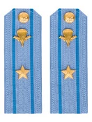 Погоны МО ВДВ голубые на рубашку Майор в сборе Картон