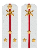 Погоны МО Сухопутные войска белые звание Старший Лейтенант Картон