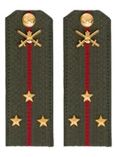 Погоны МО Сухопутные войска зеленые звание Старший Лейтенант Картон