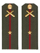 Погоны МО РВиА зеленые звание Младший лейтенант Картон