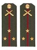 Погоны МО РВиА зеленые звание Старший Лейтенант Картон