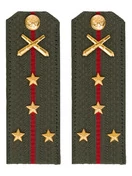 Погоны МО РВиА зеленые звание Капитан Картон