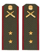 Погоны МО РВиА зеленые звание Прапорщик Картон